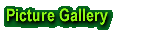Picture Gallery