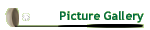 Picture Gallery