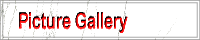Picture Gallery