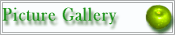 Picture Gallery