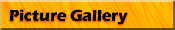 Picture Gallery