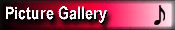 Picture Gallery