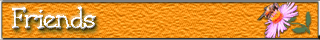 Friends