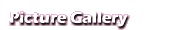 Picture Gallery