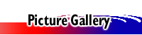 Picture Gallery