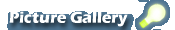 Picture Gallery