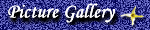 Picture Gallery