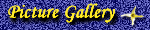 Picture Gallery