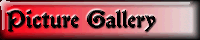 Picture Gallery