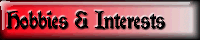 Interests & Hobbies
