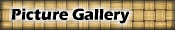 Picture Gallery
