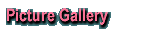 Picture Gallery