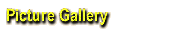 Picture Gallery