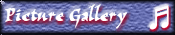 Picture Gallery