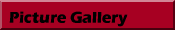 Picture Gallery