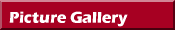 Picture Gallery