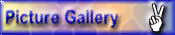 Picture Gallery