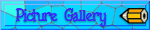 Picture Gallery