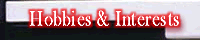 Interests & Hobbies