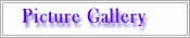 Picture Gallery