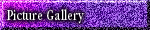 Picture Gallery