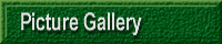Picture Gallery