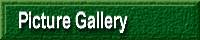 Picture Gallery