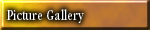 Picture Gallery