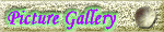 Picture Gallery