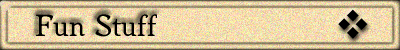 Fun