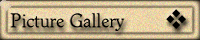 Picture Gallery