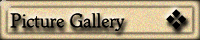 Picture Gallery