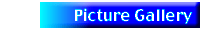 Picture Gallery
