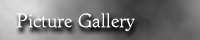 Picture Gallery