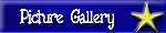 Picture Gallery