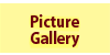 Picture Gallery