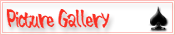 Picture Gallery