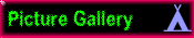 Picture Gallery