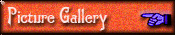 Picture Gallery
