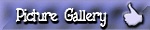 Picture Gallery