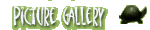 Picture Gallery