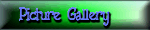 Picture Gallery