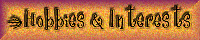 Interests & Hobbies