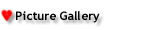 Picture Gallery