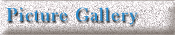 Picture Gallery