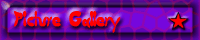 Picture Gallery