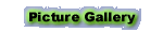 Picture Gallery