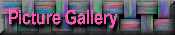 Picture Gallery